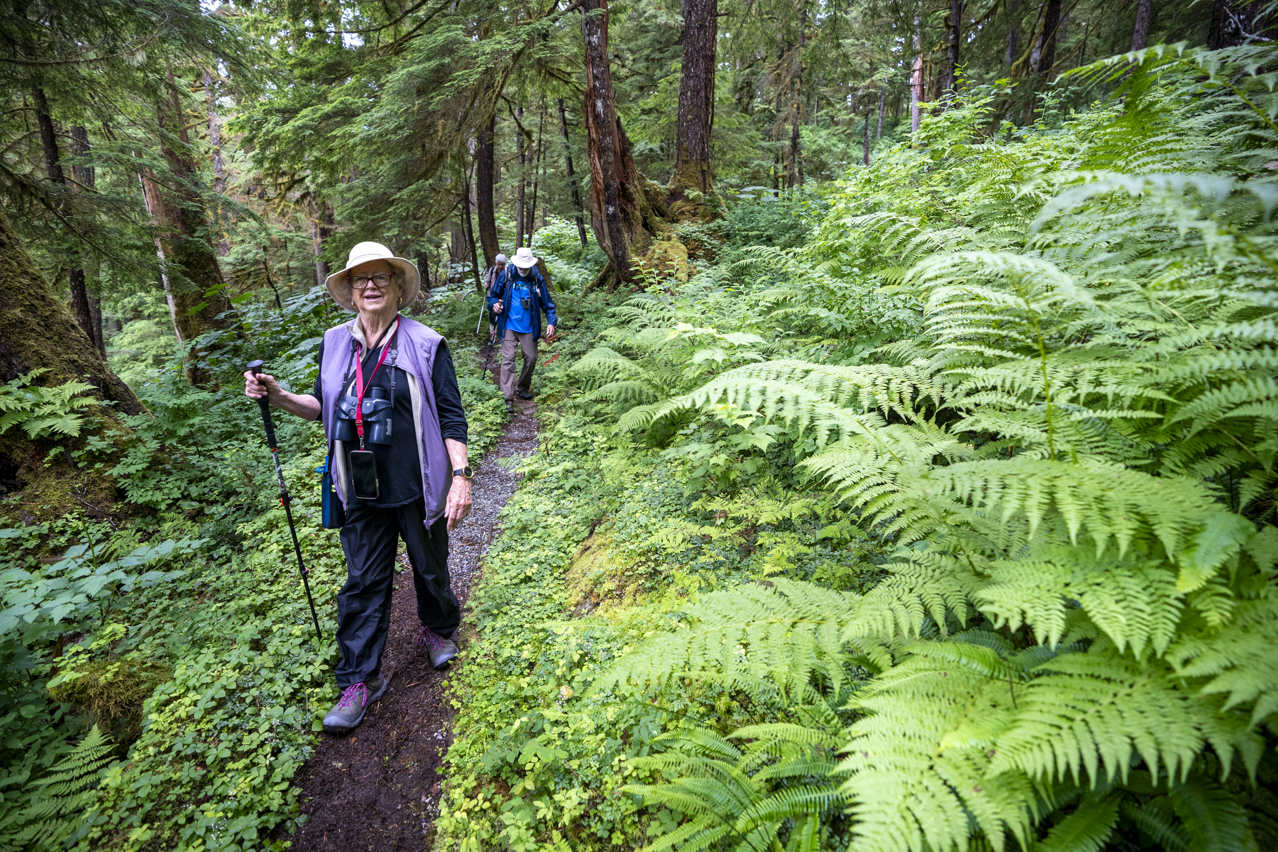 Guests hike along a trail in a remote forest surrounded by ferns