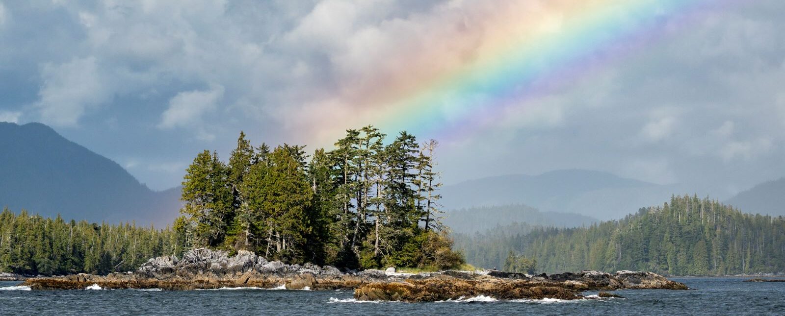 A rainbow just touching the tops of the rugged trees of an island.