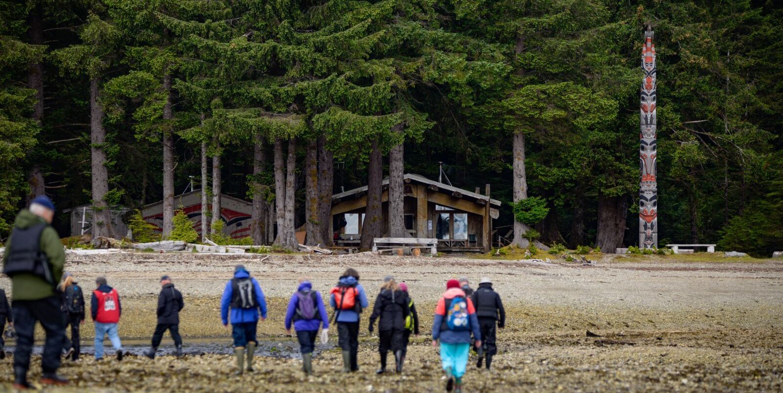 Guests walkking up the beach to the Haida Watchmen house.