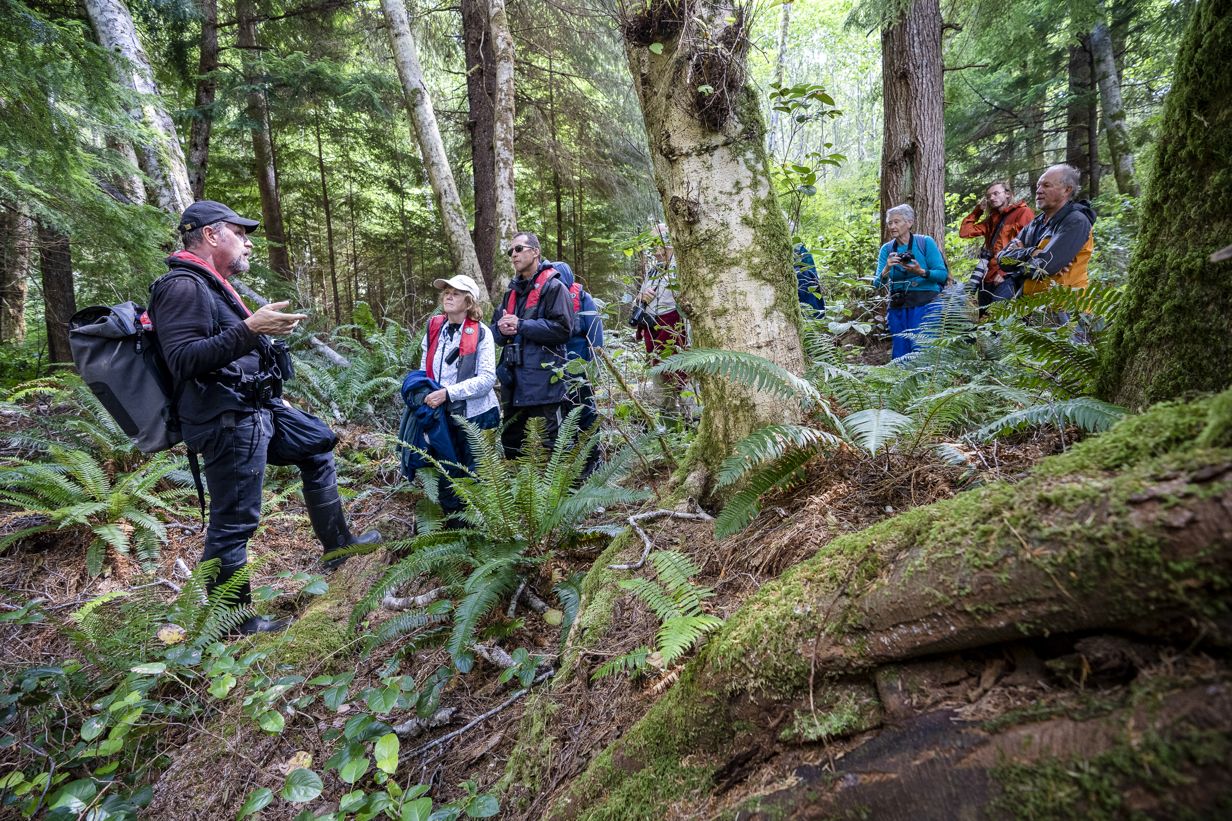 Bluewater travelers walk in the forest learning about the ecosystem from crew