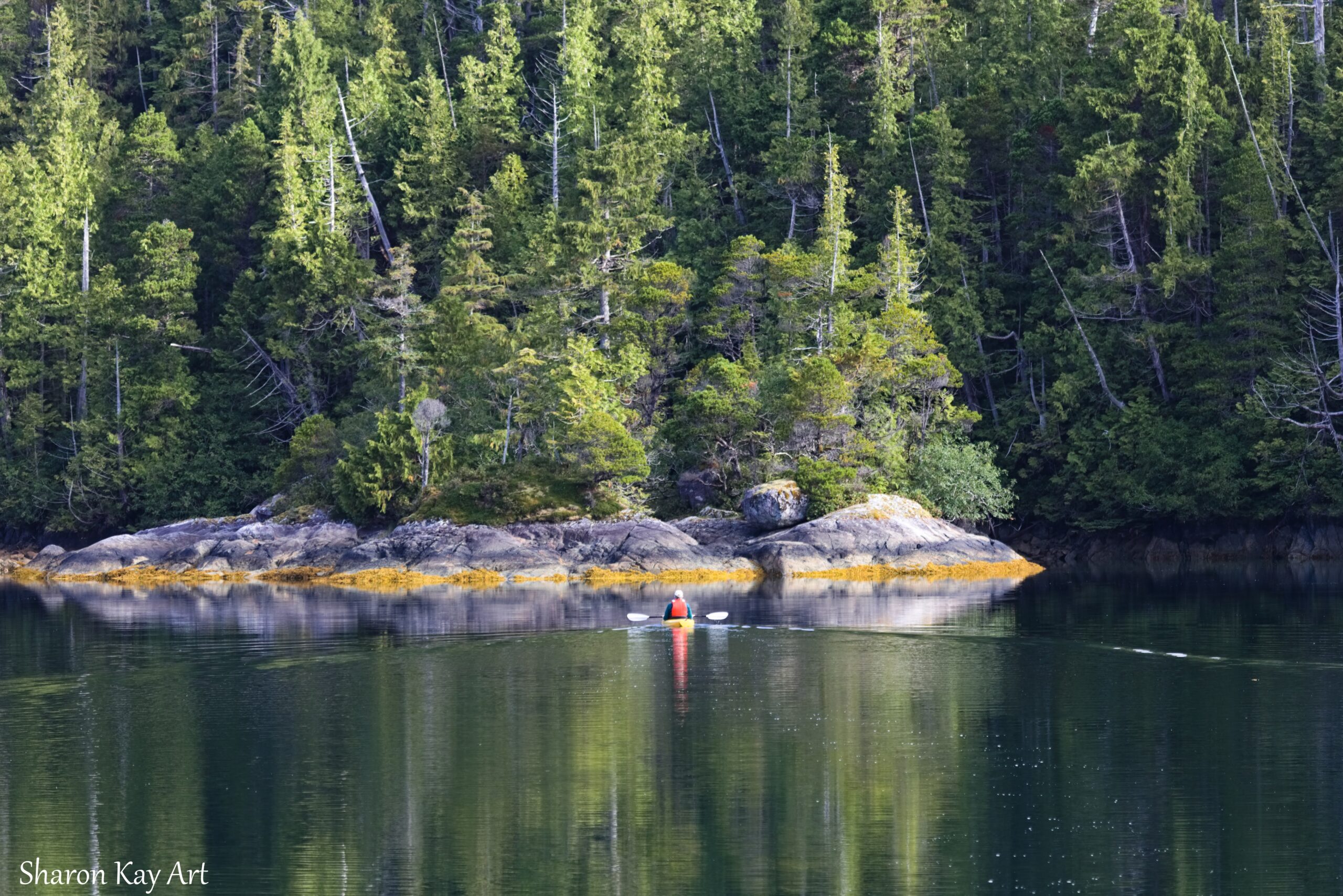 Coastal Reflection in Haida Gwaii