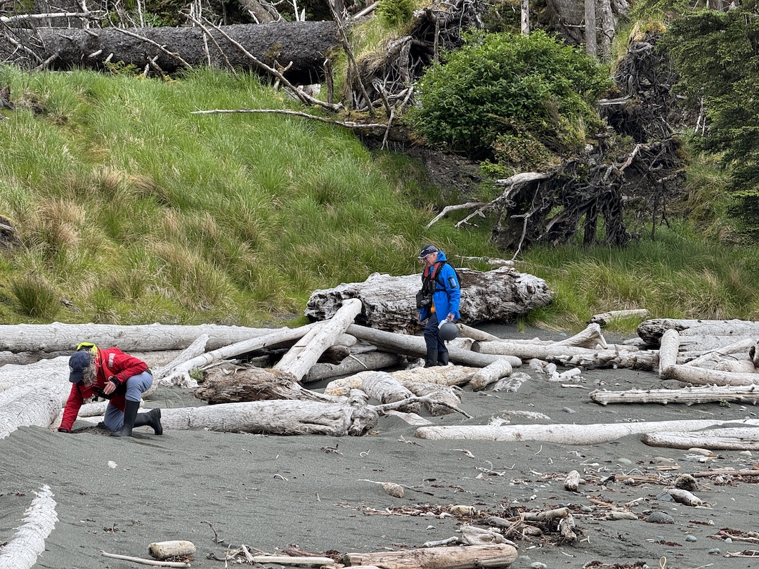 Bluewater Adventures guests scouring a remote beach in Haida Gwaii for derelect fishing gear, and other marine debris from the Pacific Ocean.