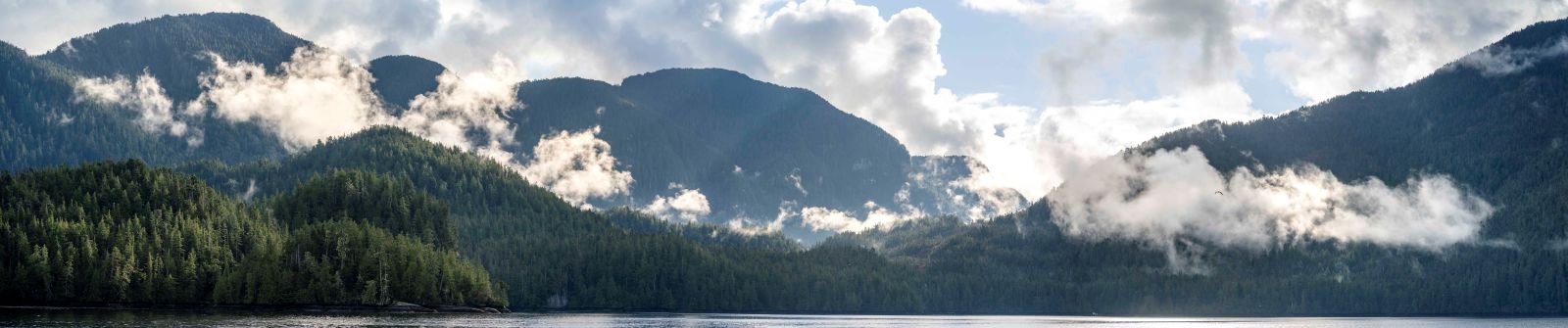 Morning clouds in the mountains of BC's Great Bear Rainforest